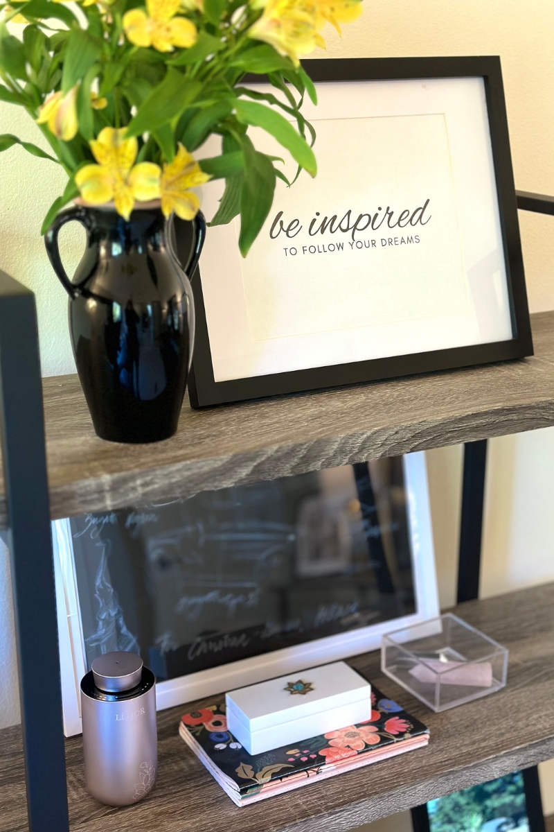 10 Easy Steps to Reprogram Your Brain to Elevate Your Life by Using The Power of Neuropsychology