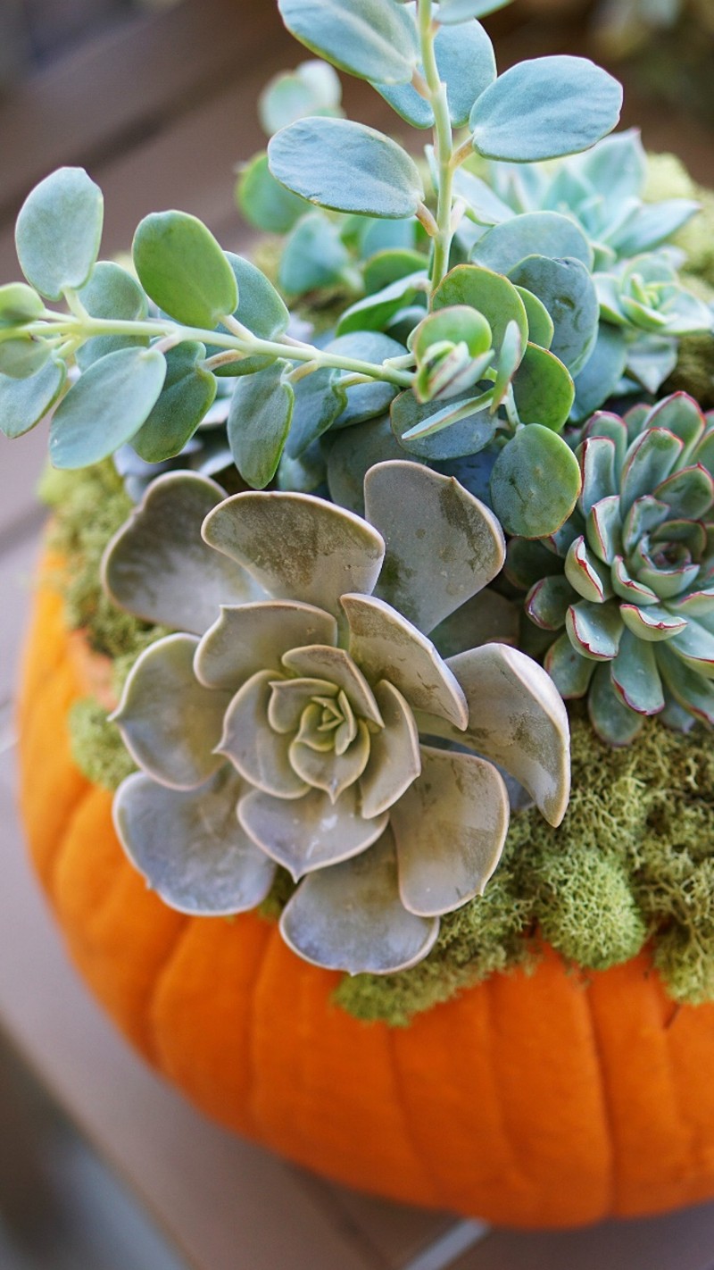 10 Fun Ways To Celebrate Autumn - Things To Do During Fall