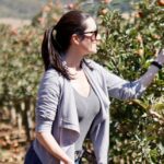 10 Fun Ways To Celebrate Autumn - Things To Do During Fall