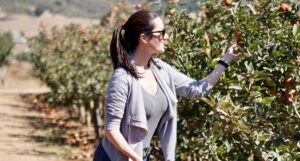 10 Fun Ways To Celebrate Autumn - Things To Do During Fall