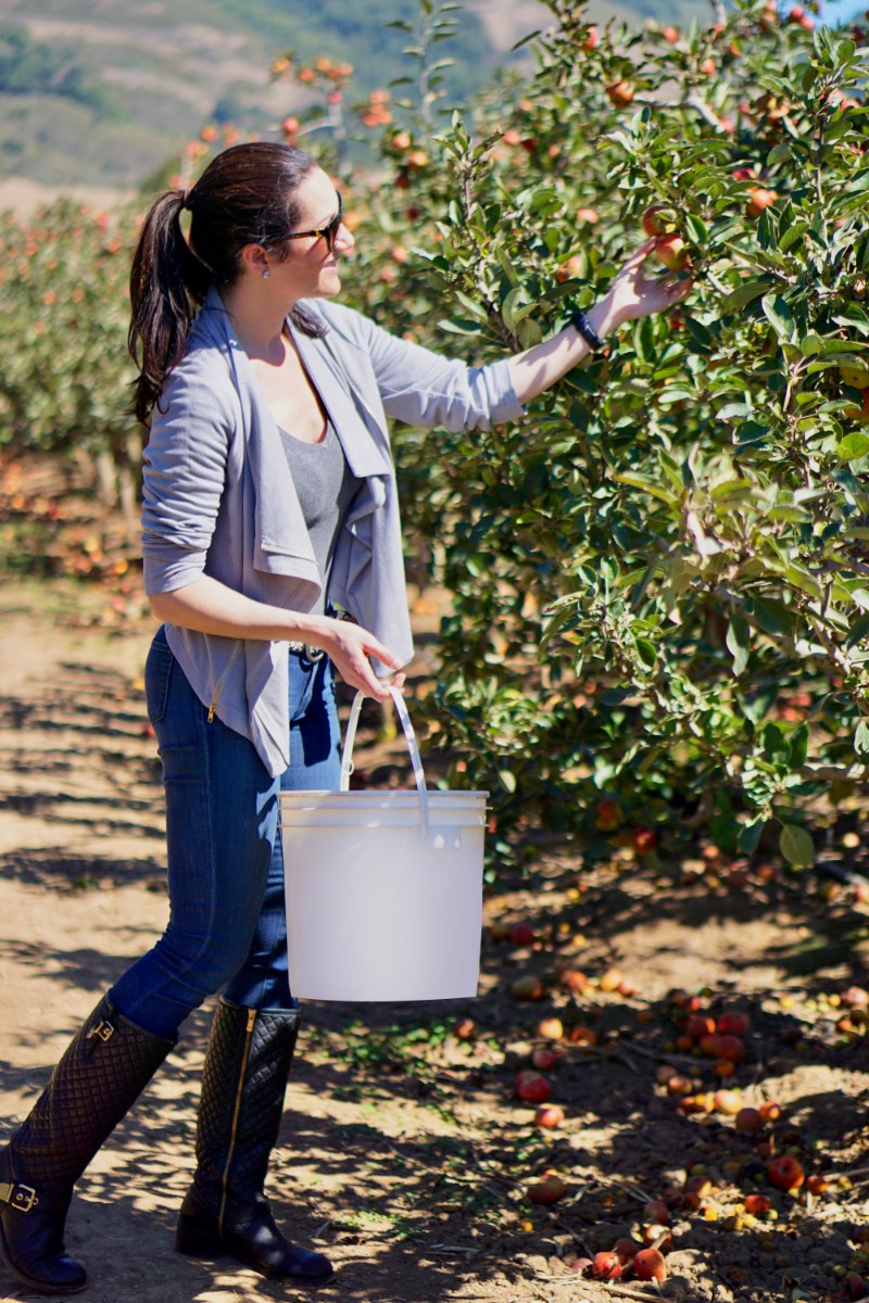 10 Fun Ways To Celebrate Autumn - Things To Do During Fall