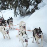 10 Inspiring Upscale Winter Destinations for Your Next Travel Adventure