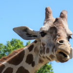 5 Fun Family-Friendly Summer Vacation Ideas to Inspire Your Next Getaway