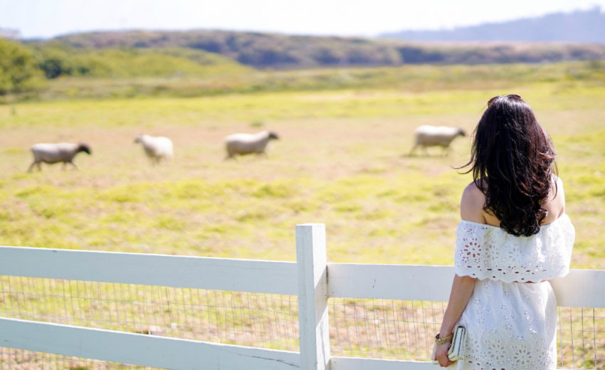 5 Insta-Worthy Restaurants on The Monterey Peninsula