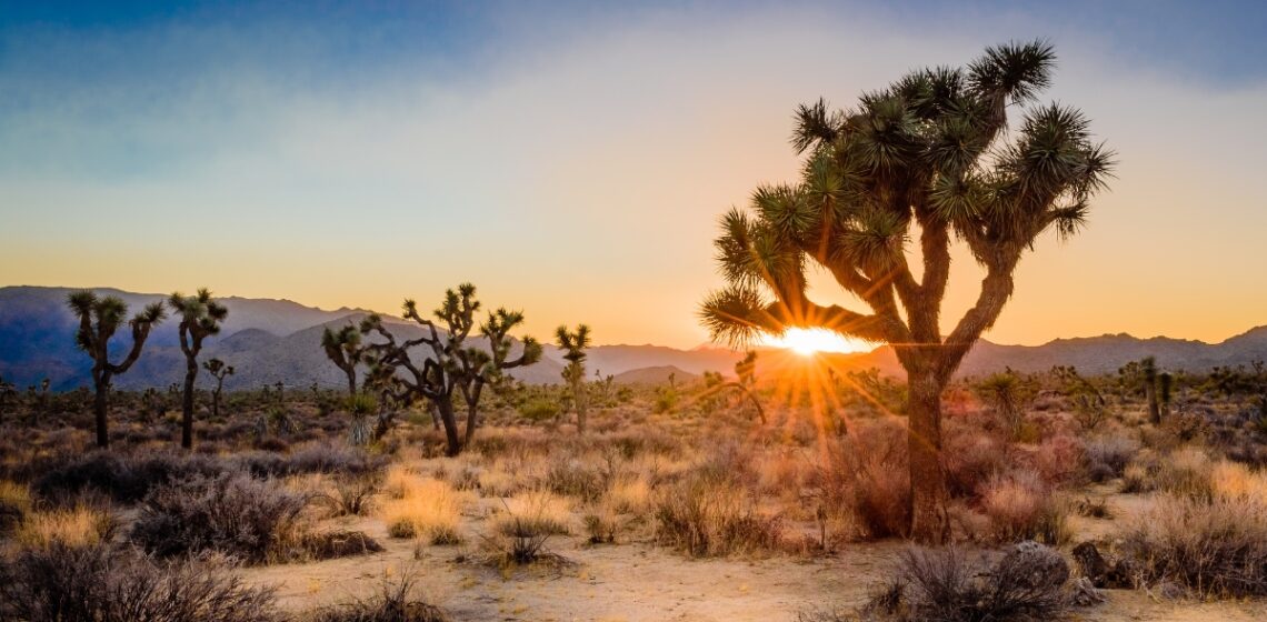 9 Unique Travel Destinations for Epic Spring Vacations That You'll Remember for a Lifetime