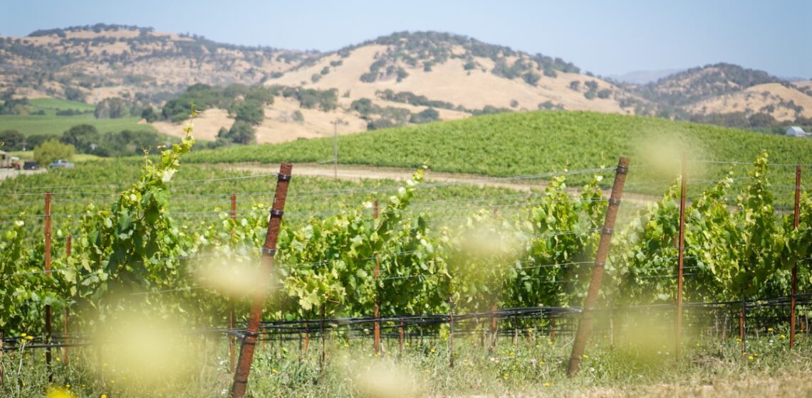 Discover Calistoga's Chic New Luxury Resort & New Hotspots in Napa Valley