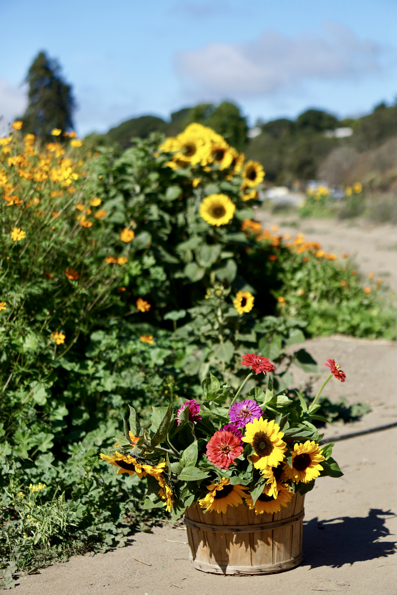 DIY Pumpkin Flower Centerpiece Tutorial