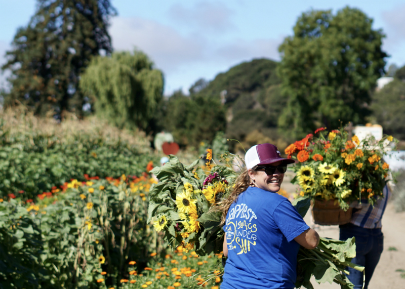 DIY Pumpkin Flower Centerpiece Tutorial