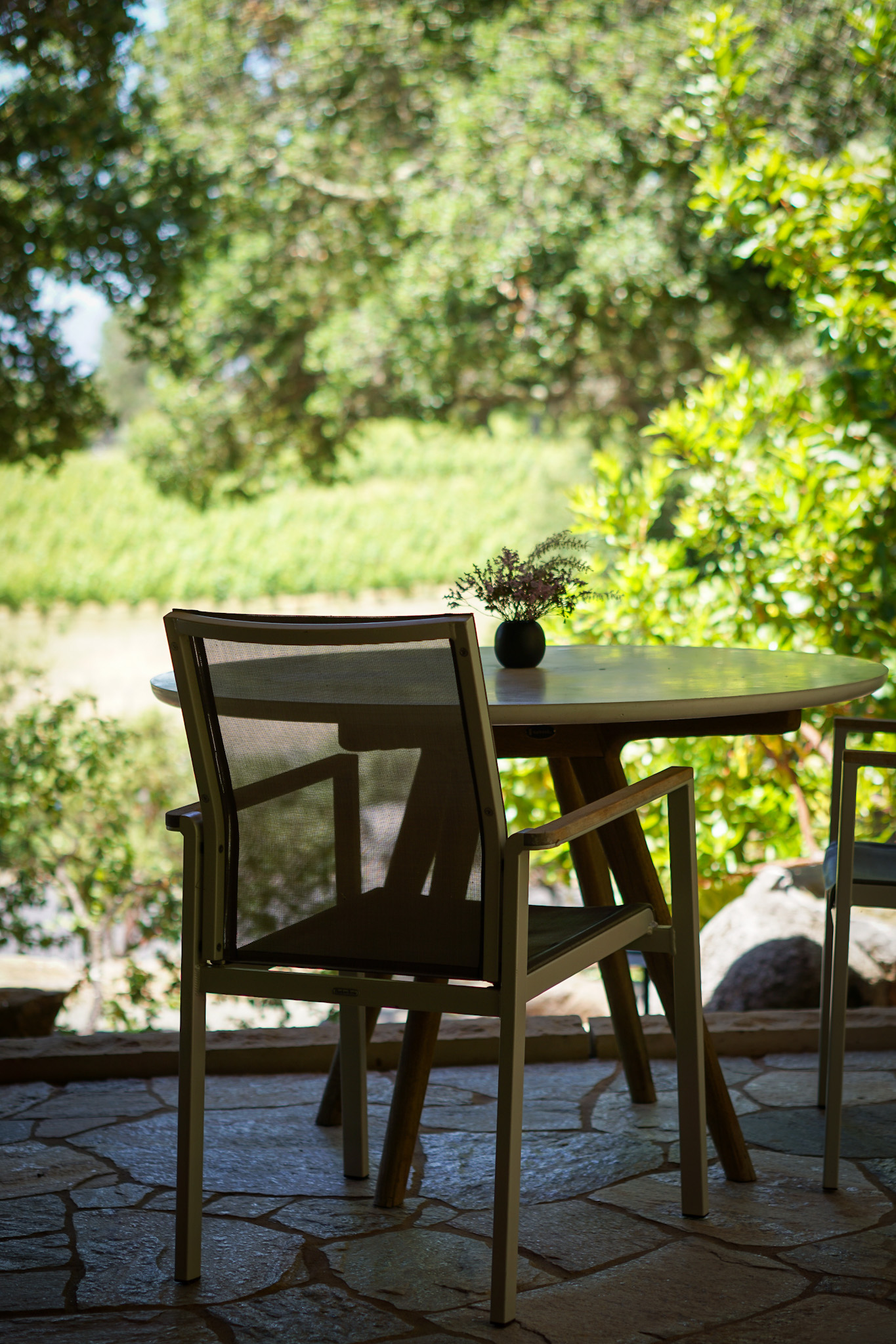 The 2025 INFINITI QX80 Debuts Luxurious Styling & Advanced Technology at The INFINITI QX80 Drive Experience in Napa Valley