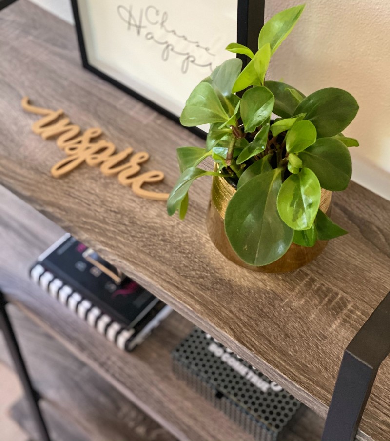 10 Home Organization Essentials That Will Spark Joy & Keep Your Life Tidy