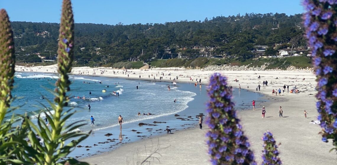 How Ecopsychology & Grounding Practices Can Enhance Your Physical, Emotional, and Mental Health