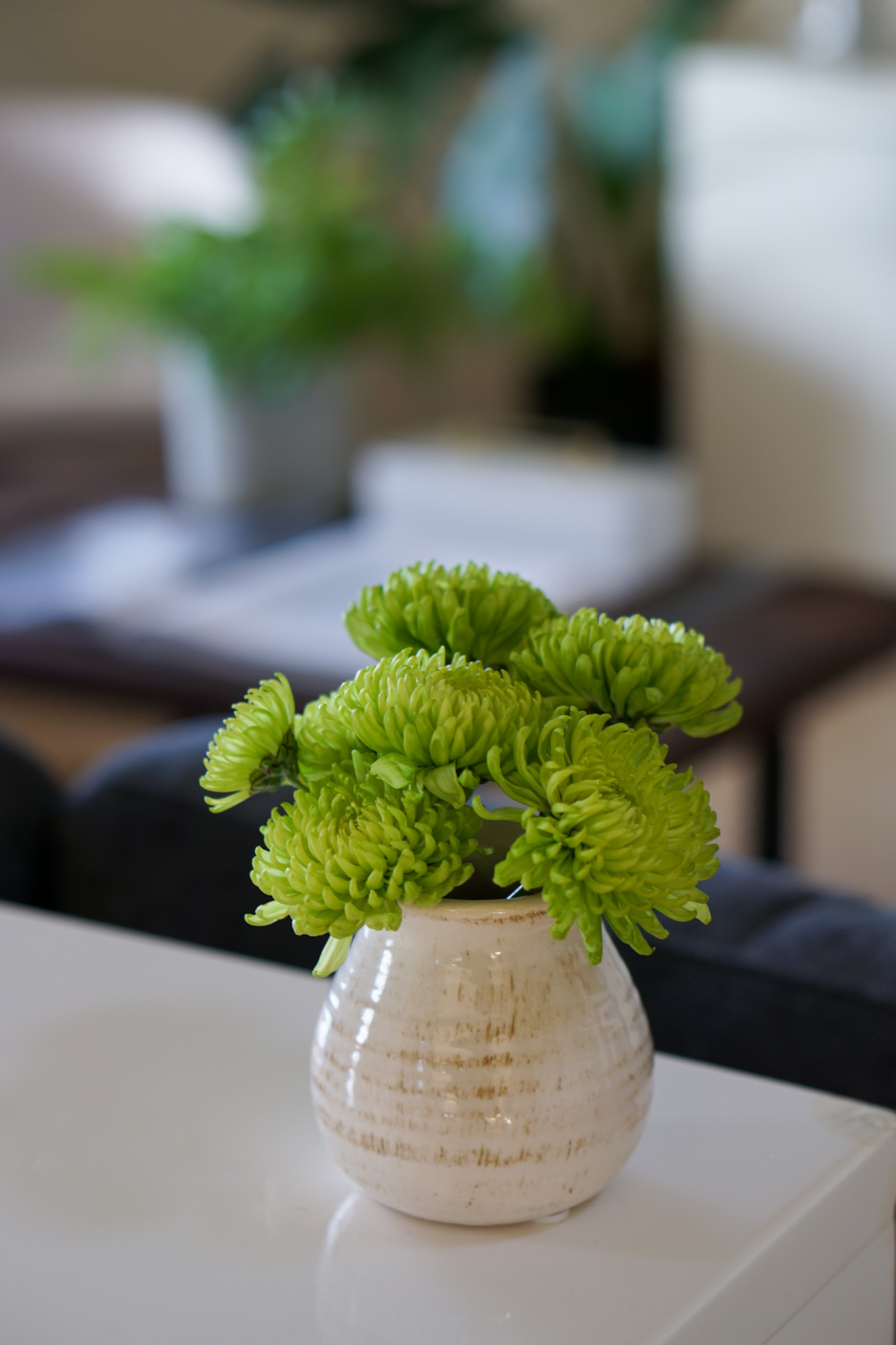 Inspirations & Celebrations and Sullivans Home Décor Launch a New Partnership Designed to Inspire You To Elevate Your Home