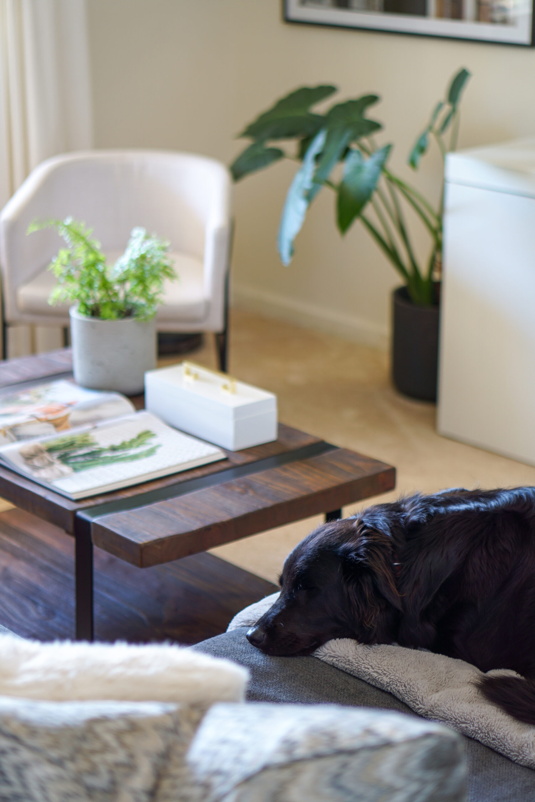 Inspiring Ideas To Elevate Your Home & Life from World-Renowned Feng Shui Master Marie Diamond