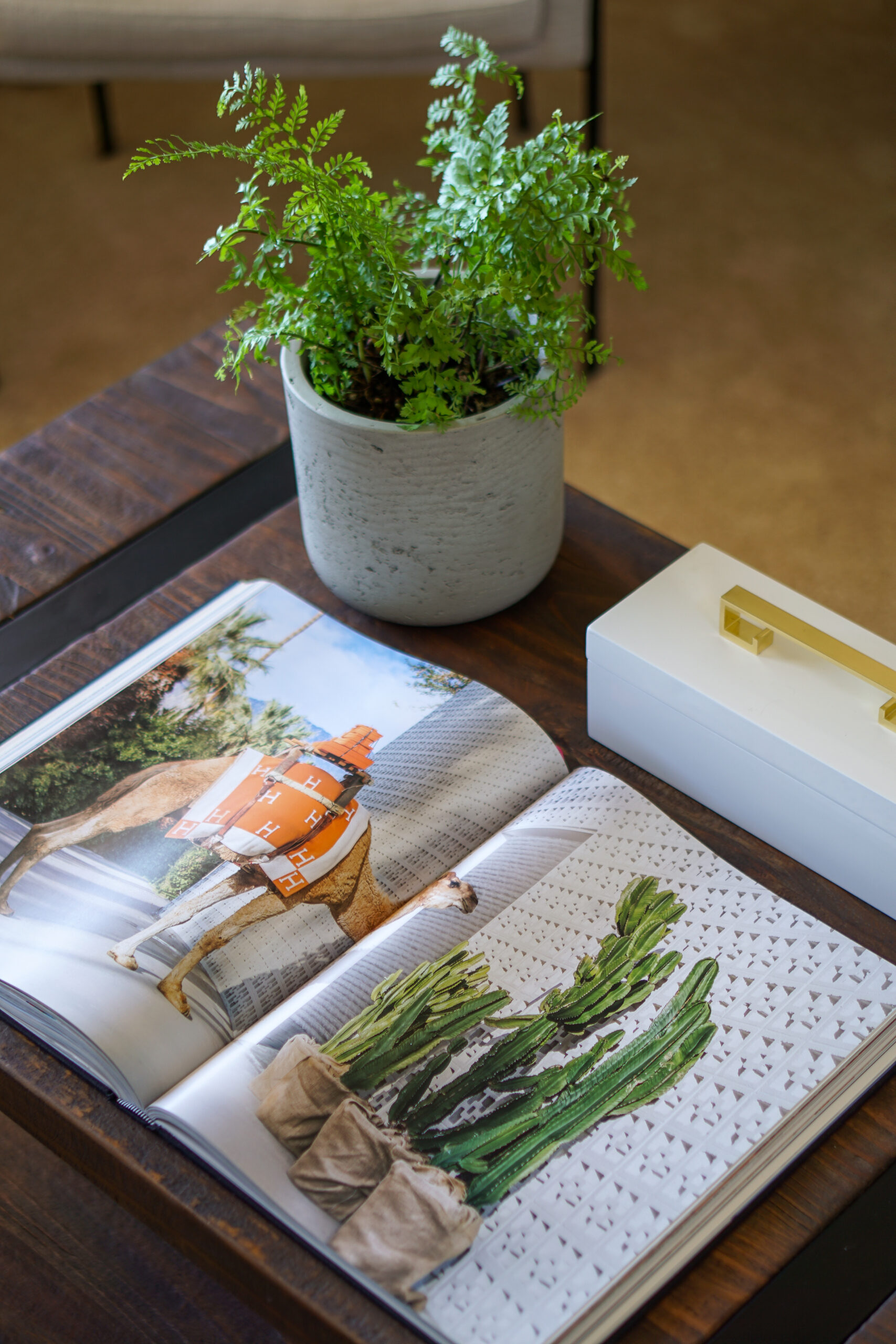 Inspiring Ideas To Elevate Your Home & Life from World-Renowned Feng Shui Master Marie Diamond