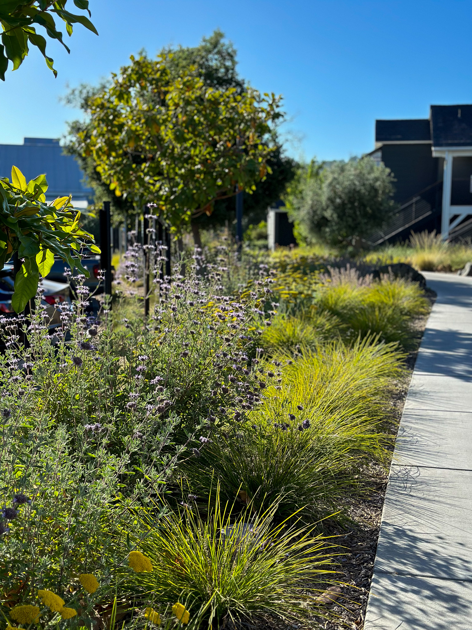 Discover Calistoga's Chic New Luxury Resort & New Hotspots in Napa Valley - Four Seasons Napa Valley