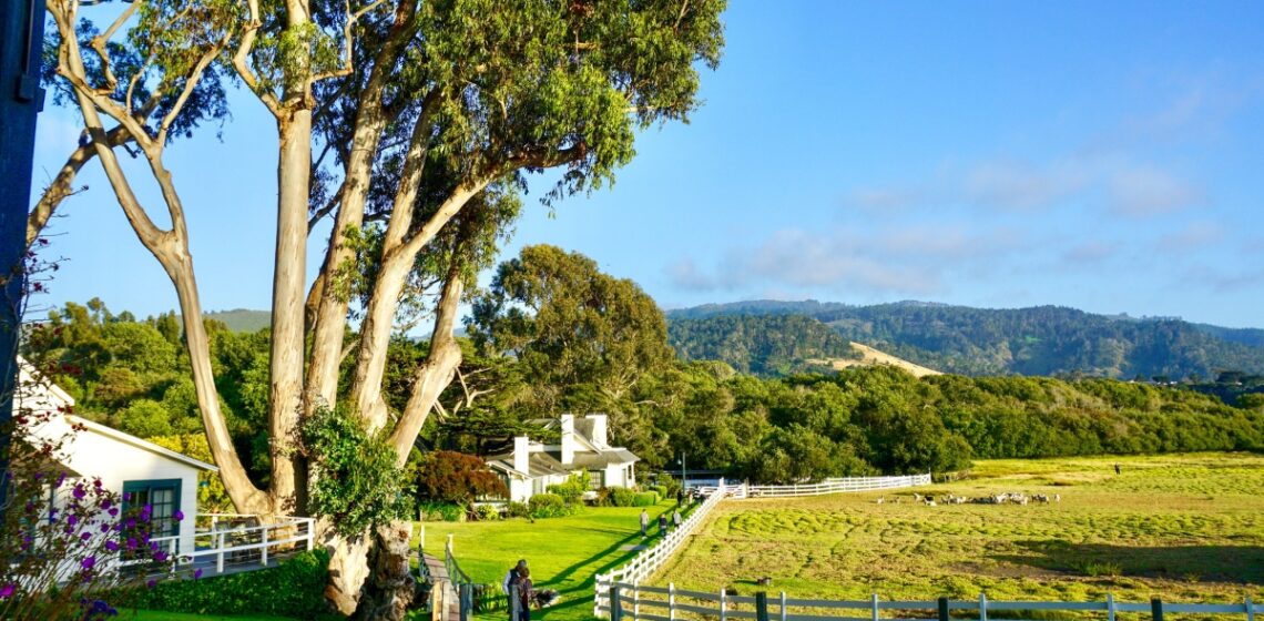 Fun Activities To Do on The Monterey Peninsula in Spring