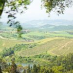 IC Lifestyle Images Releases The New Tuscan Charm Collection of Photography Prints Exclusively on Etsy IC Lifestyle Images Releases The New Tuscan Charm Collection of Photography Prints