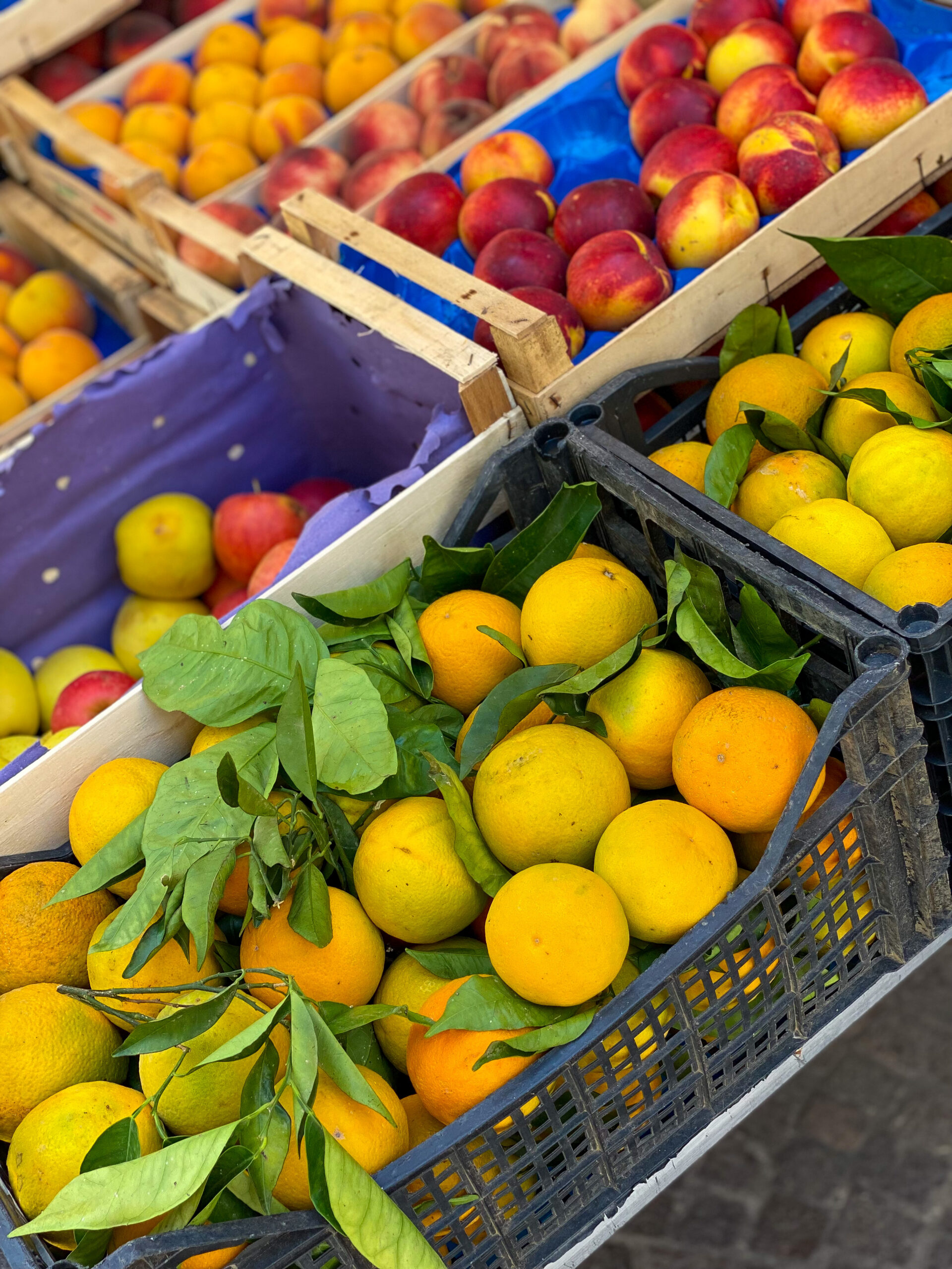 10 Easy Steps to Reprogram Your Brain to Elevate Your Life by Using The Power of Neuropsychology