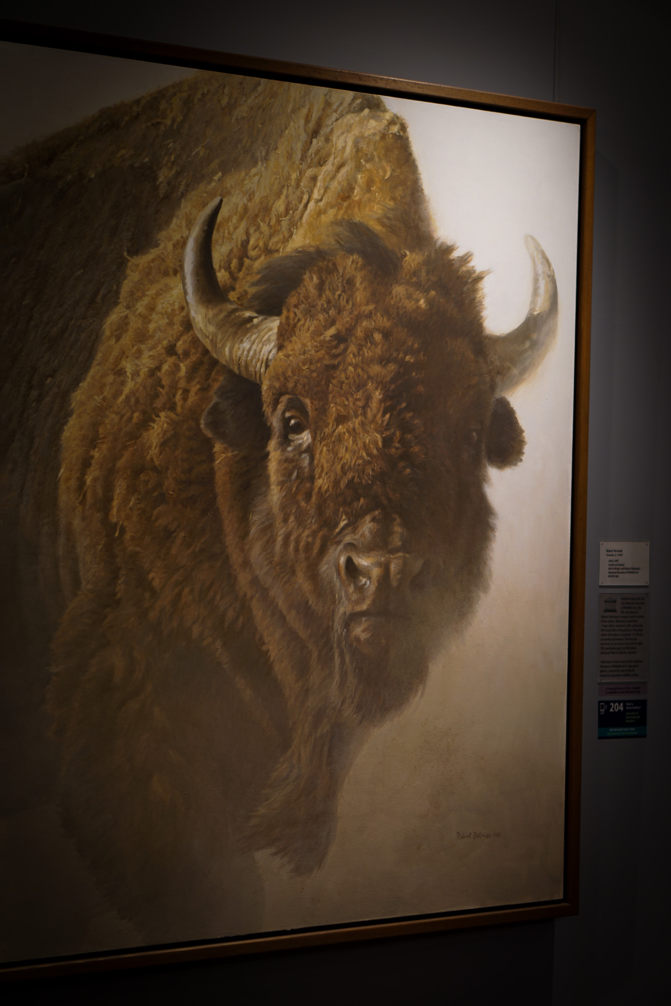 Jackson Hole Wyoming Travel Guide - The Ultimate Outdoor Adventure in the Old Wild West