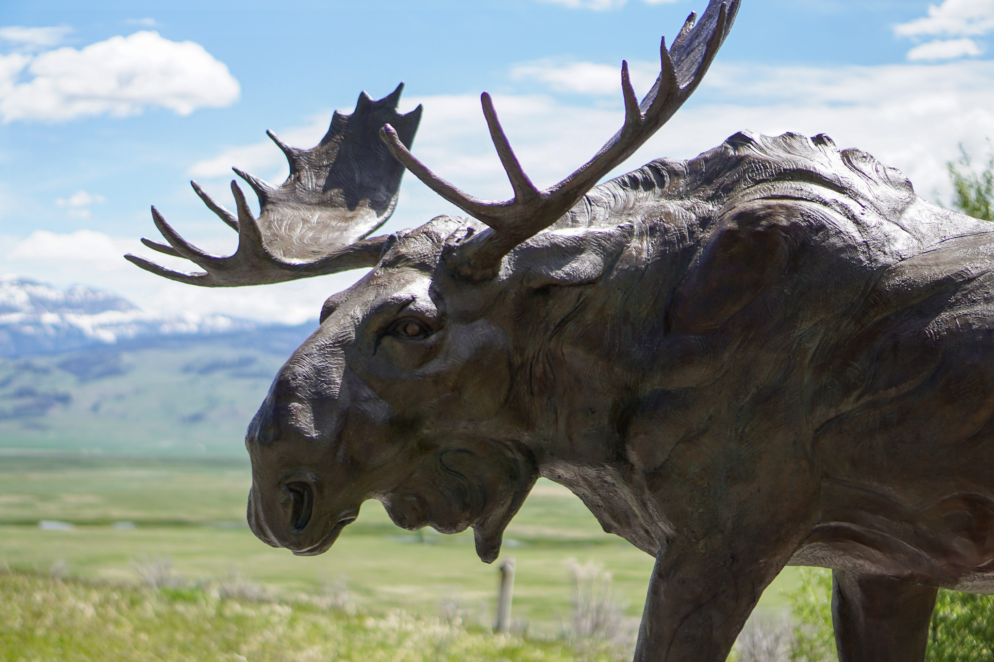 Jackson Hole Wyoming Travel Guide - The Ultimate Outdoor Adventure in the Old Wild West