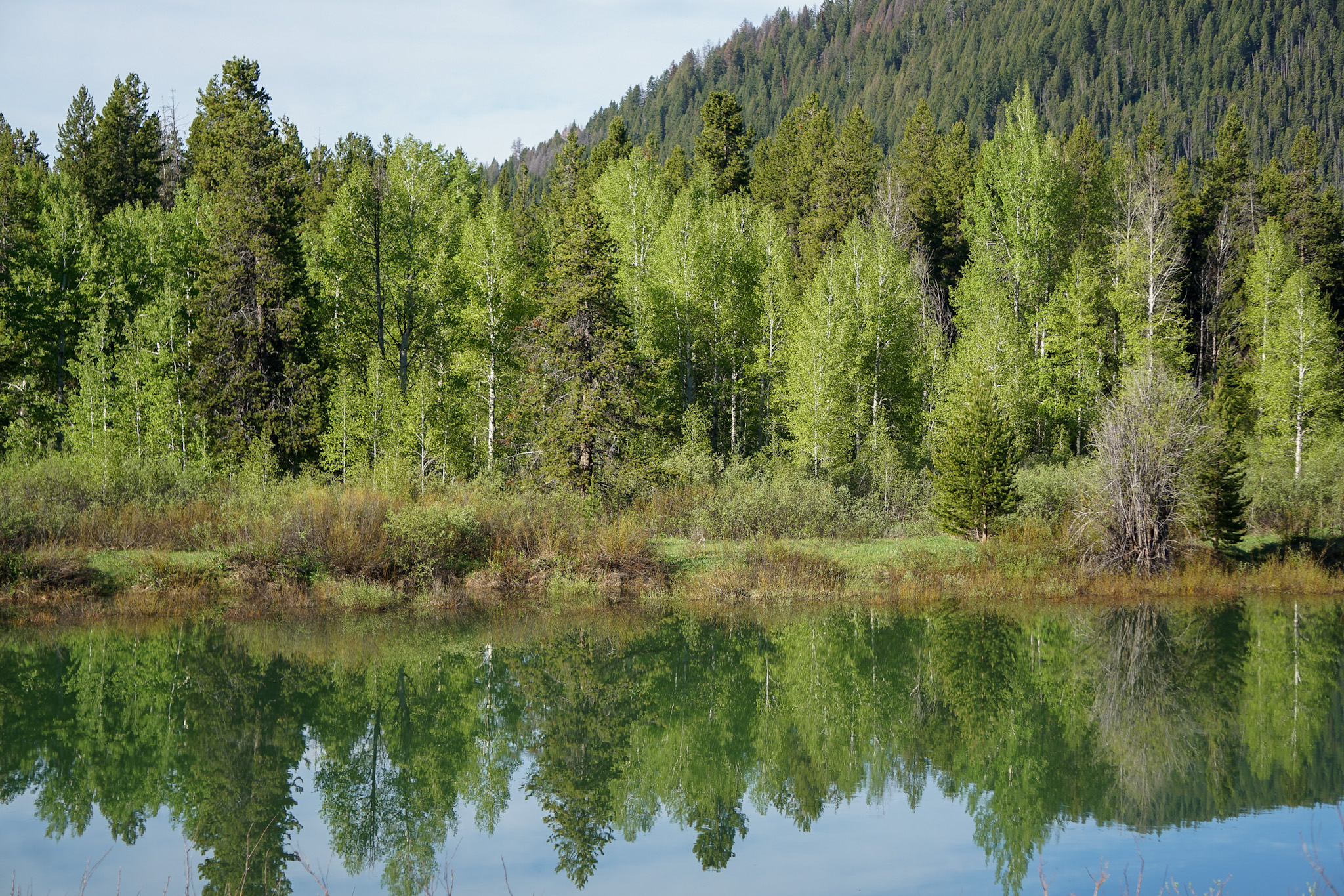 Jackson Hole Wyoming Travel Guide - The Ultimate Outdoor Adventure in the Old Wild West