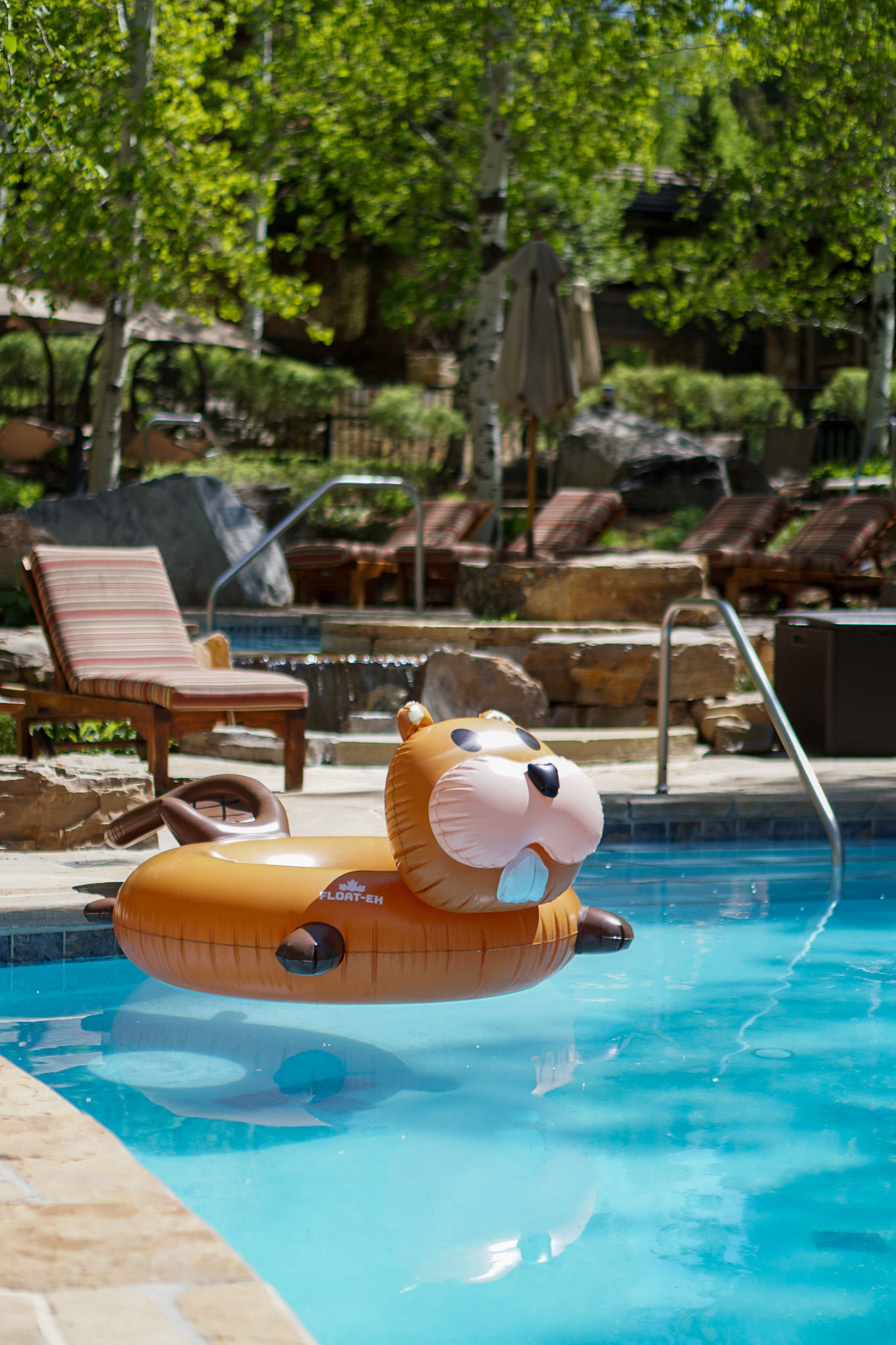 Jackson Hole Wyoming Travel Guide - The Ultimate Outdoor Adventure in the Old Wild West