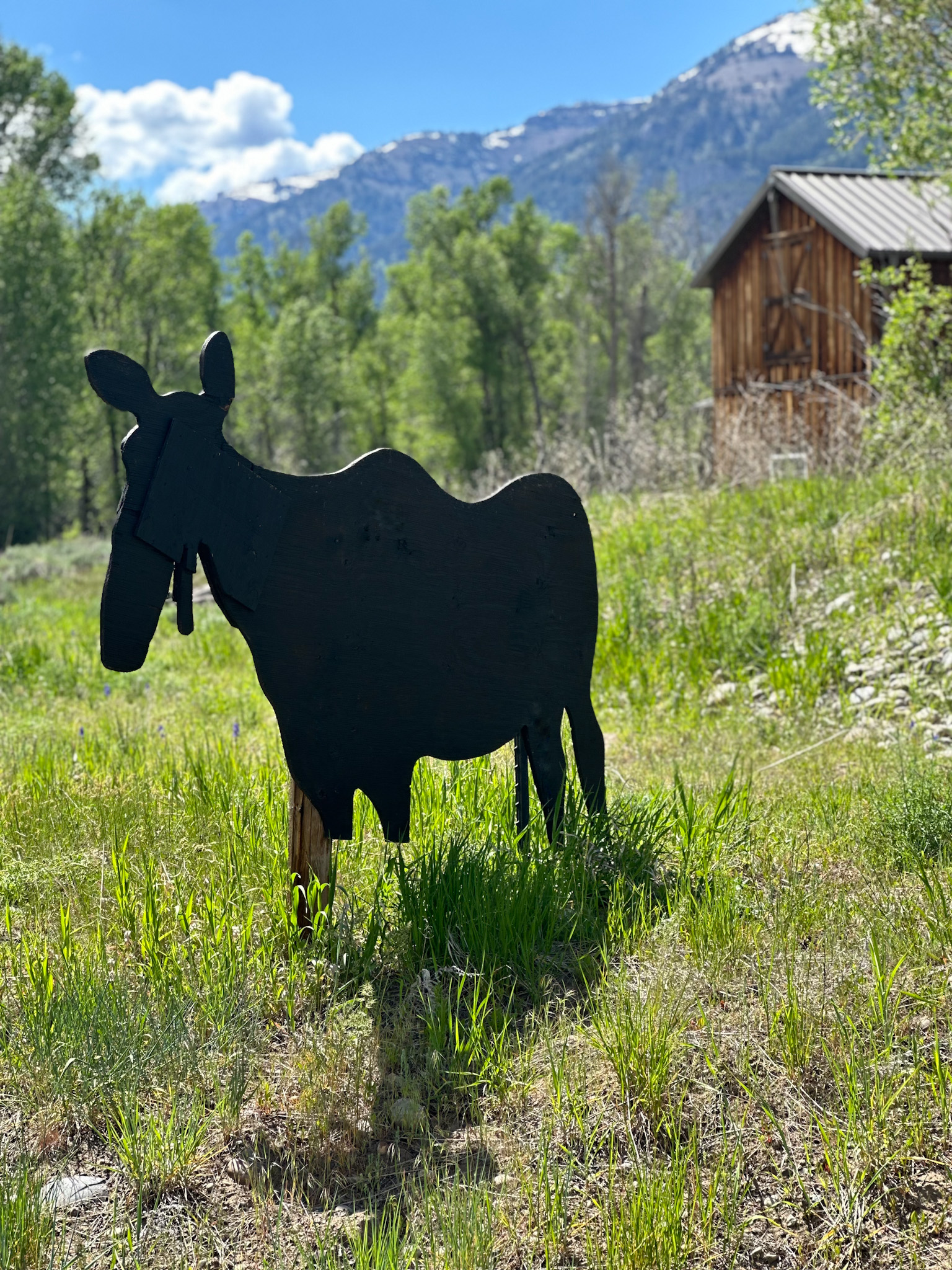 Jackson Hole Wyoming Travel Guide - The Ultimate Outdoor Adventure in the Old Wild West