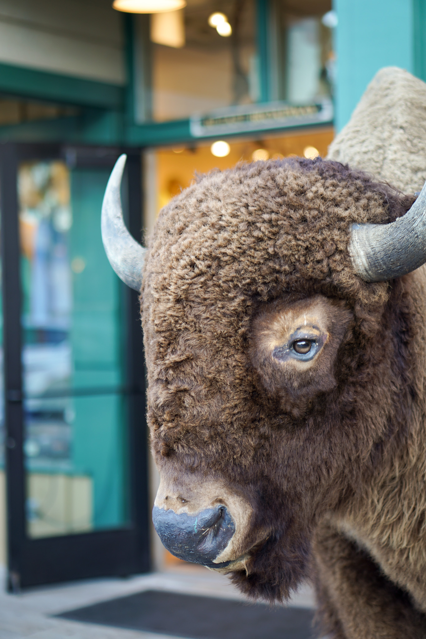 Jackson Hole Wyoming Travel Guide - The Ultimate Outdoor Adventure in the Old Wild West