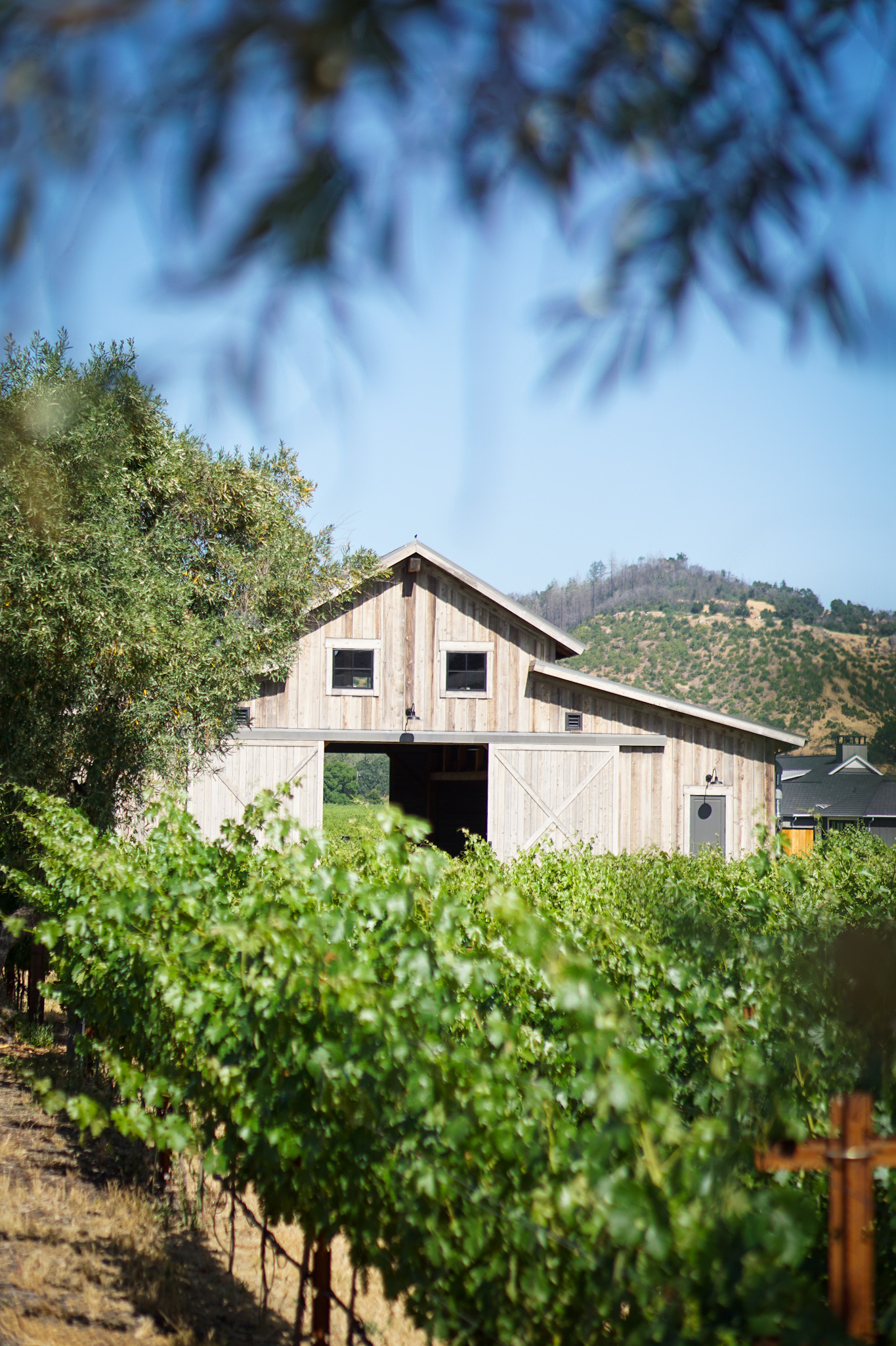 Discover Calistoga's Chic New Luxury Resort & New Hotspots in Napa Valley - Four Seasons Napa Valley