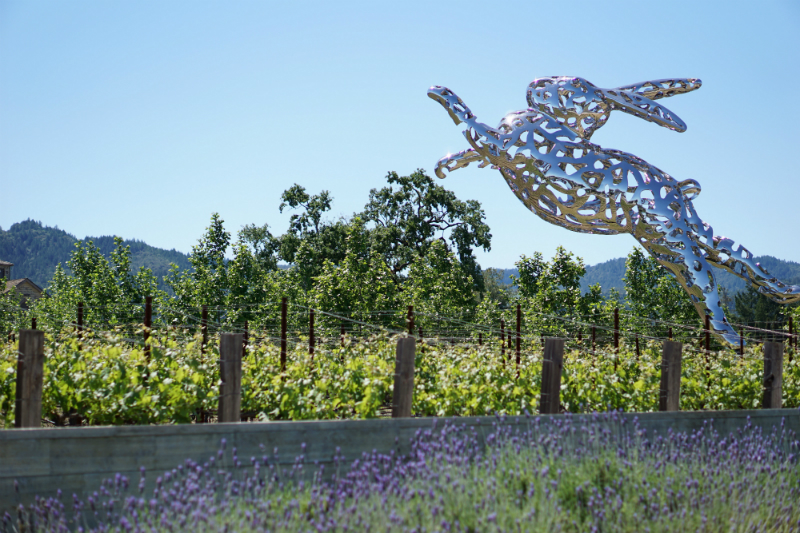 Discover Calistoga's Chic New Luxury Resort & New Hotspots in Napa Valley