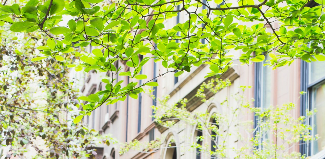 The Californians Guide to Drought Tolerant Garden Design