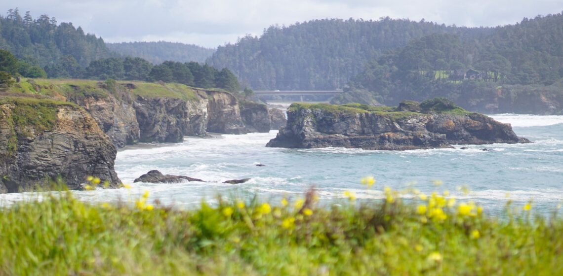 The Ultimate Dog Friendly Travel Guide to Mendocino California
