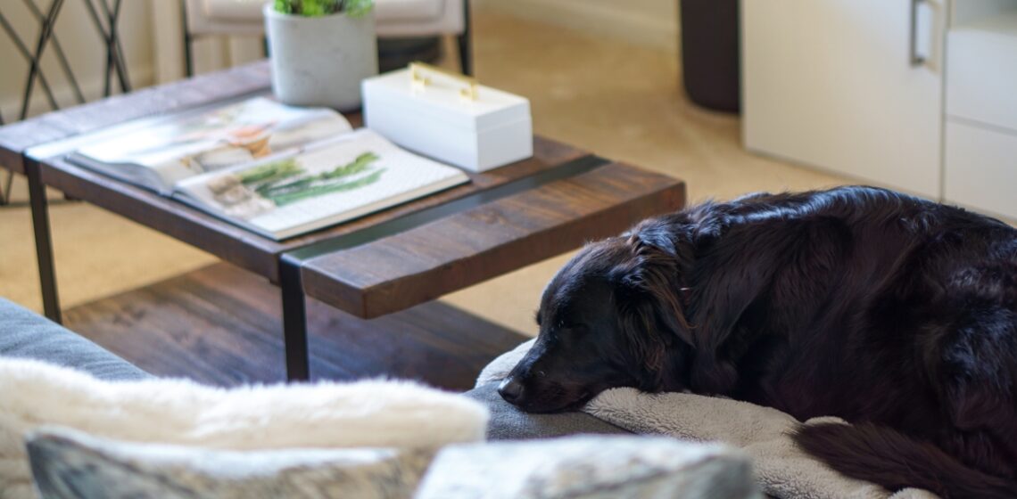 World-Renowned Feng Shui Master Marie Diamond Shares Inspiring Ideas To Elevate Your Home & Life