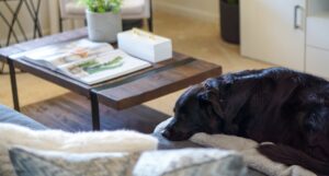 World-Renowned Feng Shui Master Marie Diamond Shares Inspiring Ideas To Elevate Your Home & Life